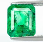 1 pcs Groen Smaragd - 2.50 ct - Antwerp Laboratory for, Nieuw