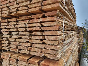 PRIJSKNALLER!!! Schaaldelen 10 - 15cm breed, 300cm lang, Minder dan 25 mm, Nieuw, 250 tot 300 cm, Plank