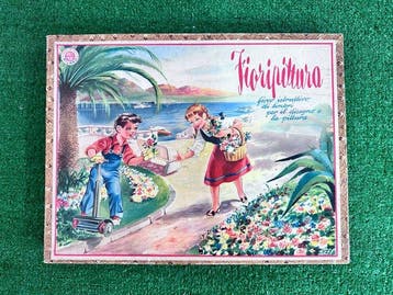 Bordspel - Gioco Vintage Anni 50/60 Fioripittura, Antiek en Kunst