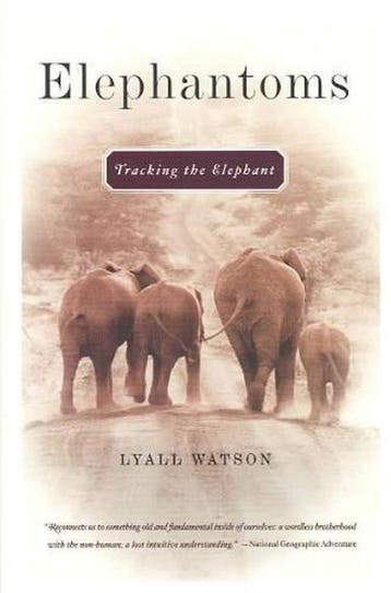 Elephantoms - Lyall Watson 9780393324594, Verzenden, Gelezen, Lyall Watson