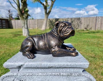 Beeld, English Bulldog 25cm - 0 cm - IJzer - 2026