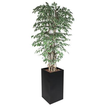 GGM Gastro | Kunstplant ficus starlight - 210cm - met pot, Verzenden, Nieuw in verpakking