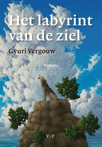 Het labyrint van de ziel - Gyuri Vergouw 9789080531772, Boeken, Verzenden, Zo goed als nieuw, Gyuri Vergouw