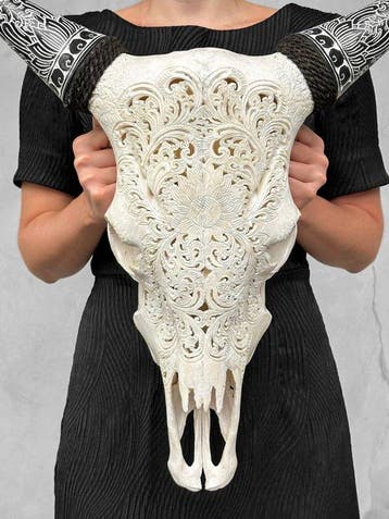 Geen minimumprijs - Prachtige witte koe schedel met Boheemse, Antiek en Kunst