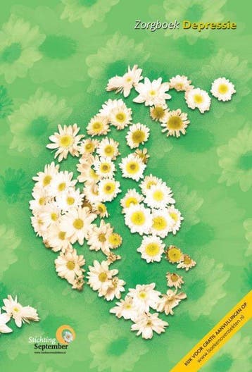 Zorgboek depressie - C. Flens - 9789086480197 - Paperback, Boeken, Verzenden, Nieuw