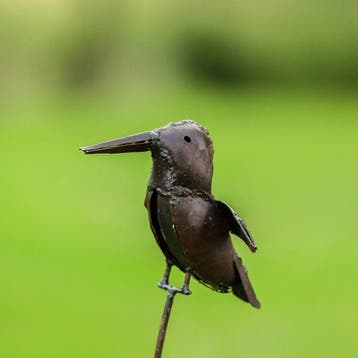Figuur - ijsvogel op een metalen staaf - Metaal