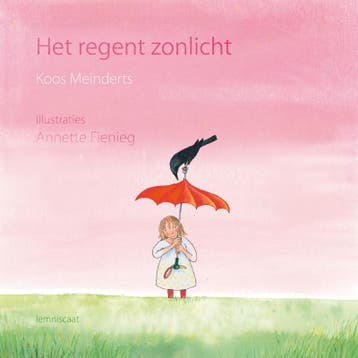 Het regent zonlicht - Koos Meinderts 9789047703099, Verzenden, Gelezen, Koos Meinderts