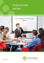 Angerenstein Welzijn      Professioneel werken 9789037223637, Verzenden, Zo goed als nieuw