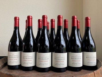 2023 Bernard Moreau, Pinot Noir - Bourgogne - 12 Flessen, Nieuw