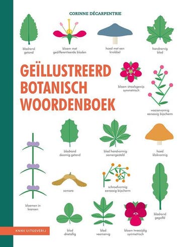 9789050118293 Geillustreerd botanisch woordenboek, Verzenden, Nieuw, Corinne Decarpentrie