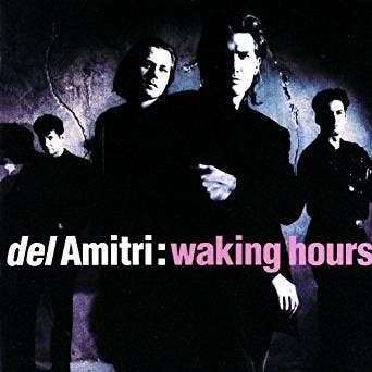 cd - Del Amitri - Waking Hours, Verzenden, Zo goed als nieuw