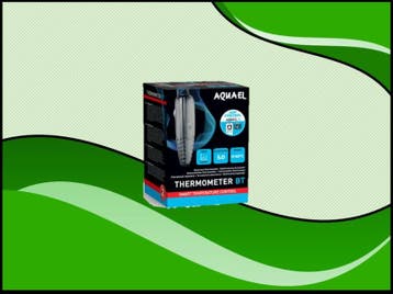 Thermometer BT (Thermometers, Accessoires), Verzenden, Nieuw, Verlichting of Verwarming