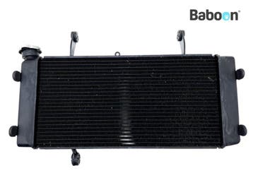 Radiateur Suzuki DL 1000 V-Strom 2014-2016 (DL1000), Motoren, Verzenden, Gebruikt