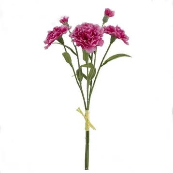 Anjer Zijden vertakt beauty/creme 40 cm Bundel 3 stuks, Ophalen of Verzenden, Nieuw