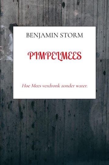 Pimpelmees | Benjamin Storm | Nieuw, Ophalen of Verzenden, Nieuw, Benjamin Storm