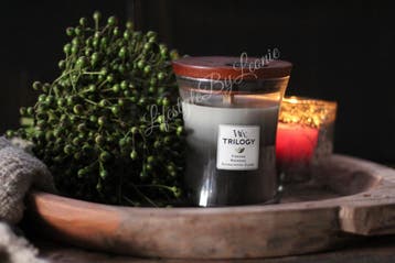 WoodWick Warm woods trilogy medium, Ophalen of Verzenden, Nieuw