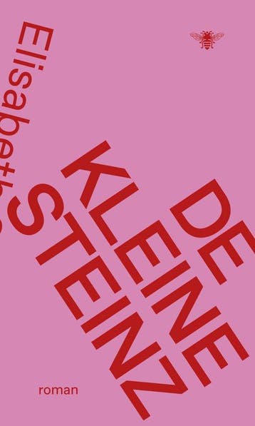 De kleine Steinz - Elisabeth Steinz 9789403134048, Verzenden, Zo goed als nieuw, Elisabeth Steinz
