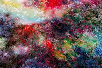 Viet Ha Tran - The power of dreams