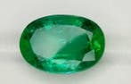 Groen Smaragd - 3.01 ct - International Gemological, Nieuw