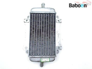 Radiateur Piaggio | Vespa GTS 125 2009-2016 IE (GTS 125, Verzenden, Gebruikt