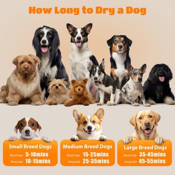 Hondenfohn - Professionele dierenfohn - Honden droger - Wit, Verzenden, Zo goed als nieuw