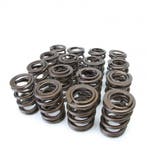 Skunk2 Tuner Series Honda/Acura (K20/K24/F20C/F22C) DOHC, Ophalen of Verzenden, Nieuw