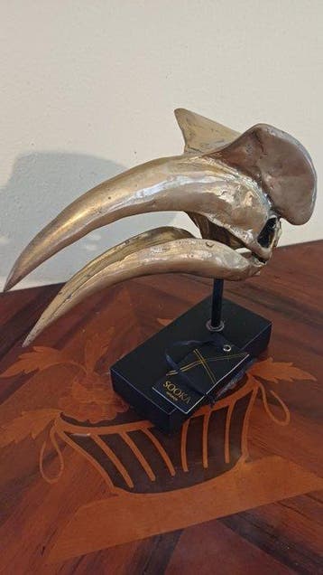 sooka - Jake Richmond - sculptuur, Scultura Teschio di
