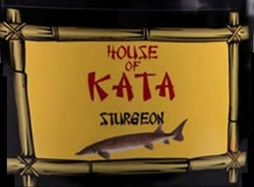 House of Kata Sturgeon 20 liter (House of Kata koivoer), Ophalen of Verzenden, Nieuw, Overige typen