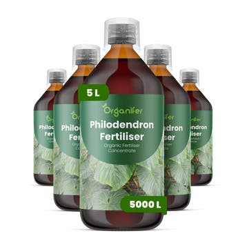 Philodendron Vloeibare meststof - Set 5x1 liter, Verzenden, Mest