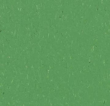 Forbo Marmoleum Piano 3647 nettle green, Verzenden, Nieuw