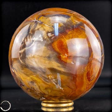 Natuurlijk versteend hout als bol – Intense houtnering in