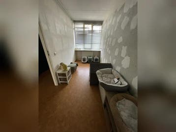 Te huur: Appartement Johanna Naberstraat in Alkmaar, Alkmaar, Noord-Holland, Appartement