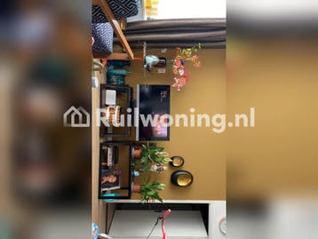Waddinxveen: Licht apartement met 3 kamers (Zuid-Holland), Zuid-Holland