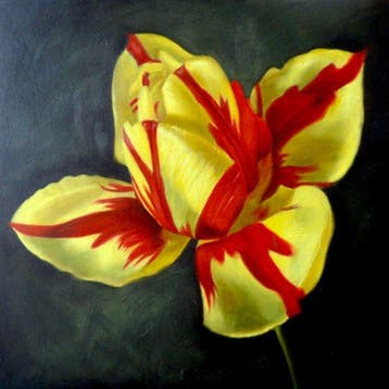 Anwen de Ridder (2000) - Yellow Tulip