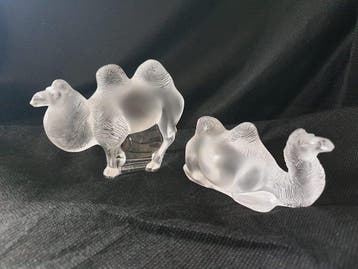 Lalique - Marc Lalique - Figuur - Chameau Tanger camel set