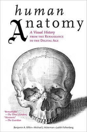 Human Anatomy 9780810997981 Benjamin A Rifkin, Verzenden, Zo goed als nieuw, Benjamin A Rifkin