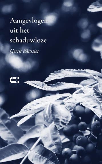 Aangevlogen Uit Het Schaduwloze | Gerrit Massier | Nieuw, Ophalen of Verzenden, Nieuw, Gerrit Massier