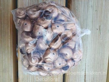 Landsnail small geboorde schelpen Koper 250 gram, Ophalen of Verzenden, Nieuw
