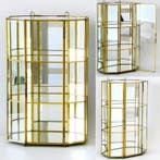 Vitrine - Uniek vitrine kastje voor je mooiste miniatuur