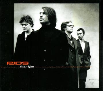 cd - PJDS - Suits You, Verzenden, Zo goed als nieuw