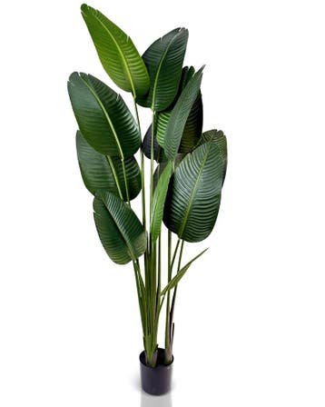 IvoQ Strelitzia Kunstplant 180 cm, Huis en Inrichting, Verzenden, Nieuw