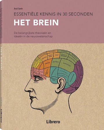 Het brein - Anil Seth 9789463596046, Verzenden, Zo goed als nieuw, Anil Seth