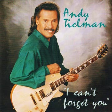 Andy Tielman - I Cant Forget You, Ophalen of Verzenden, Gebruikt