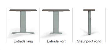 Entrada bureau, 120x80cm, Overige plaatsen, Ophalen of Verzenden, Nieuw in verpakking, Bureau