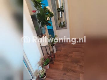 Vierkamerflat in Rotterdam te ruil