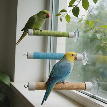 Zuignap Vogel Zitstok voor Ramen & Spiegels - Draagbaar Spee
