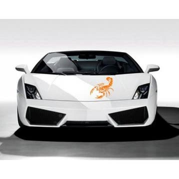 Auto sticker scorpion patroon, Verzenden, Nieuw