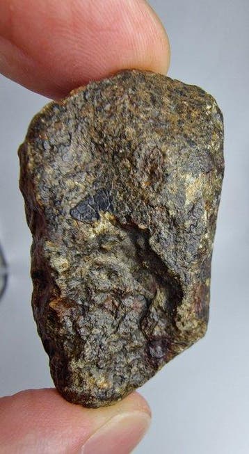 NWA 869 meteoriet, L3-6. De beroemdste chondriet. - 55.57 g