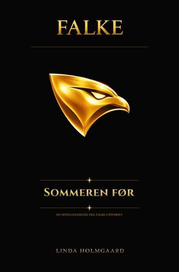 Falke | Linda Holmgaard | Nieuw, Ophalen of Verzenden, Nieuw, Linda Holmgaard