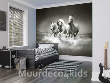 Paarden behang Paarden fotobehang Zwart/wit * Vliesbehang, Ophalen of Verzenden, Minder dan 10 m², Paarden